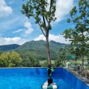 (주)지산농원 | 배방관광농원캠핑장 :: 천안아산 수영장 있는 캠핑장 7월 후기