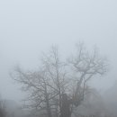 11월19일(토) 천태산 산행 풍경사진.삐따기 부방장님 리딩(폰촬영 몇장). 이미지