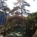 산내음 물소리 이미지