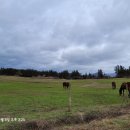 진성목장 이미지