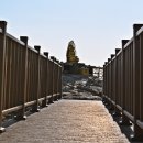 부산과학관 주차장 이미지