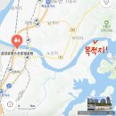 산호체육관 | 대덕뮤직페스티벌 시작부터 끝까지 있었던 사람의 1일차 솔직 후기와 2025 라인업, 준비물, 스탠딩 예약