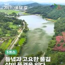 월출산 氣찬묏길 | 고요한 들녘과 물길을 따라 걷는, 영암 기(氣)운담길 생태로드 5코스