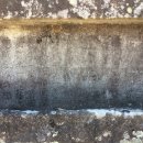 진주 강수명 묘역 이미지