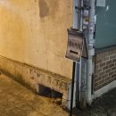 제철로 | 용리단길 한식 술집 신상 핫플 용산제철 후기 (굴보쌈, 시금치새우전)