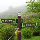 부슬비 내리는 날 황매산철쭉축제! 이미지