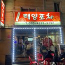 정들어포차
