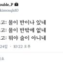 유나포차 이미지