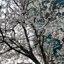 가야안경원 이미지