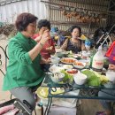 맛있는 밥상 이미지