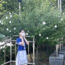 성산고등학교 이미지