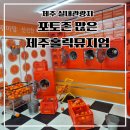 노형동물병원 | 제주 실내관광지 실내포토존 제주홀릭뮤지엄 할인, 내돈내산 후기