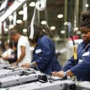 비자농장 이미지