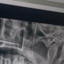 구의고운미치과의원 이미지