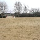 남창초등학교 이미지