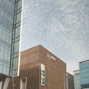 판교역로226번길 이미지