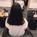 신혜정 헤어