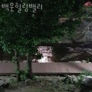 백운힐링밸리 | 포천 도평리 펜션 백운힐링밸리 할인 영업시간 가는길