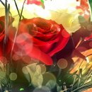 개과천선 이미지