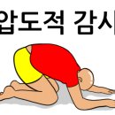 러브독애견카페 이미지