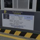 돈김치 | 대구 맛집 동인동 한옥집 김치찜 솔직 후기(내돈 내산)