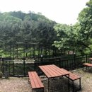 소나무집 민박 이미지