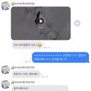 개라다이스 이미지