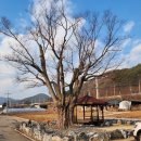 수변공원 정자옆 이미지