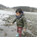 곰섬올레