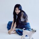 청하