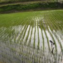 사슬치마을 이미지