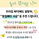 바이오템호남 | 유성 포레나 34평 B타입 / 알집매트 아파트 시공 후기 / 노블 [클래식 샌드] 시공 사례 / 알집매트...