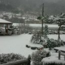 시온 민박 이미지