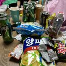 토박이숙박 | 한옥마을 숙소 토박이 한옥숙박 내돈내산 후기 / 전주 동물원 가격 / 전주수목원 후기 / 전주 친구들...