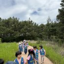 (🧸해맑은미소)달산포➡️청포대 해안길걷기🌲🌊 이미지