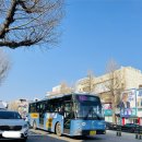 석남고가교 사거리 횡단보도 | [인천/간선]인천 시영운수 29번 에디슨모터스 스마트11HG 18.5(1028, 1594호)