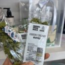 견사무소 호텔 유치원 | 부산애견유치원 라메르시오 비건 간식 견심상회 후기