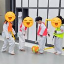 청솔태권도 | 강한태권도 보내본 엄마가 느낀 범어동태권도 솔직 후기