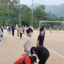 장천초교 이미지