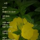 매월골프랜지 네이버블로그