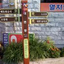 대변항3 이미지