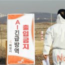 윤성호농장 이미지