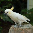 금강회관 이미지