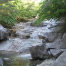 수양산 펜션 이미지