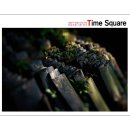 계양구연합사진가회 여성회원 'Time Square' 전시 2014년 4월 26일(토) ~5월 2일(금) 까지 이미지