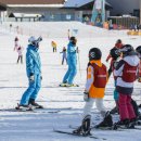 엘리시안 강촌 스키장 이미지