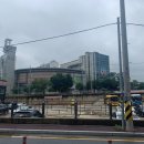 신창아파트 상가 건너편 이미지