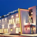 펫로스 케어 이미지