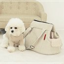 모던켄넬 이미지