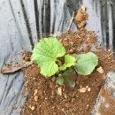 동준농장 이미지